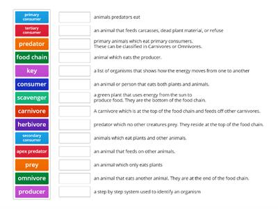 Airplane Food Chains