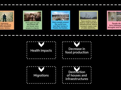 Global warming affect us