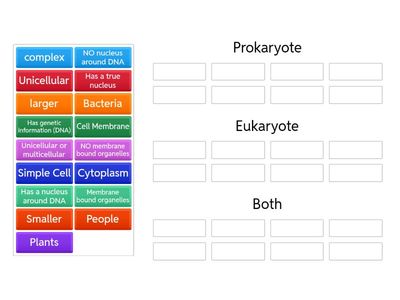 Eukaryote vs Prokaryote