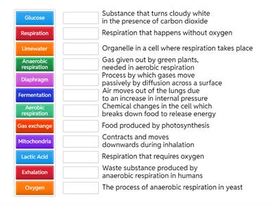 KS3 Breathing and Respiration