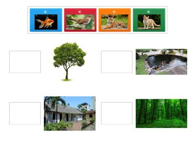 Về đúng nơi ở