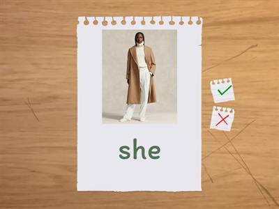 Have/has got- questions