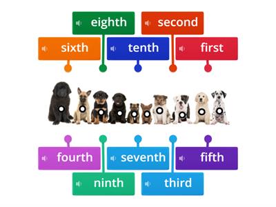 Ordinal Numbers 1st-10th