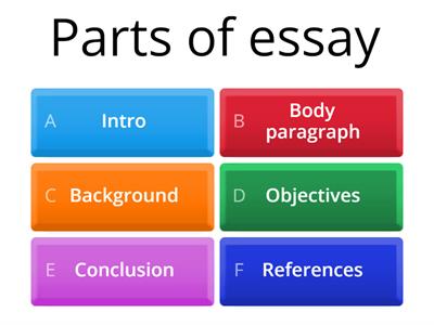 Essay