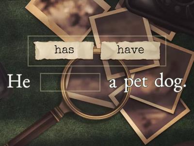 noun verb agreement: Has,Have