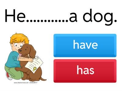  Have/has