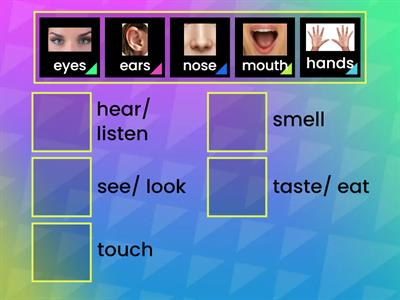 senses