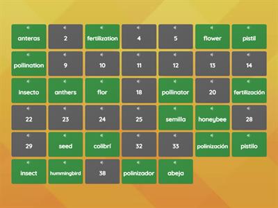 Pollination - The Bridge - Spanish with audio