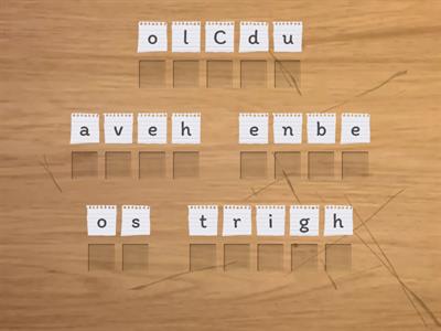 SHOULD HAVE / COULD HAVE