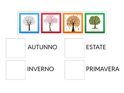 UN ALBERO PER TUTTE LE STAGIONI