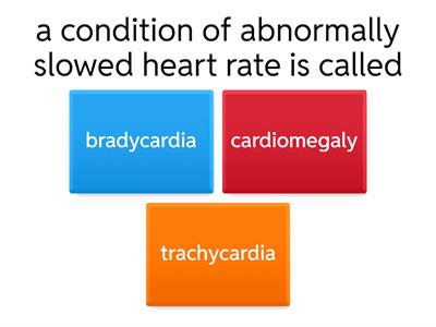 Cardiovascular System