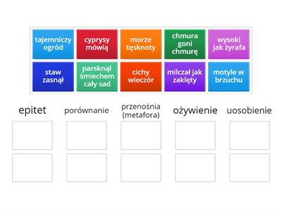 Środki stylistyczne. Dopasuj.