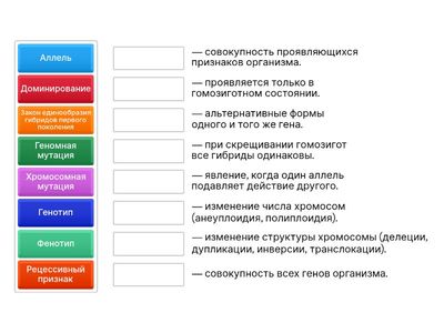 Эволюция. Семинар 14