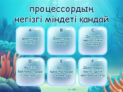 Ер адам мен дельфиннің секс видеосы