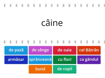 Dislexie. Cuvinte cu litera „â”