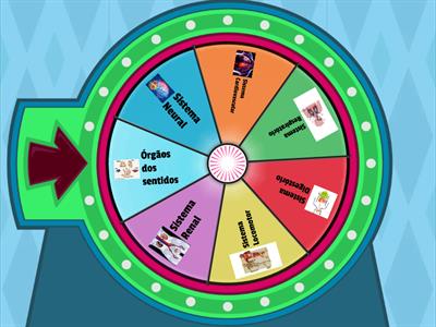 Funções das Partes do Corpo