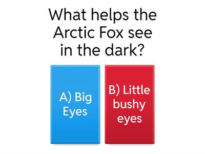 artic fox