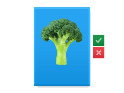 Countable and Uncountable Nouns