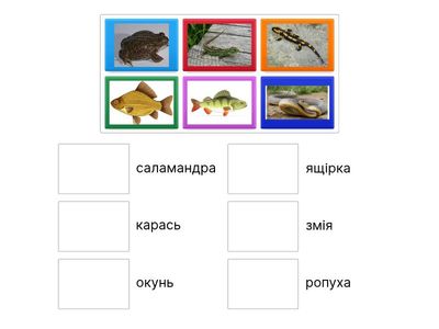 Риби, земноводні та плазуни