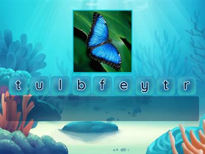 decodeable multi syllable words