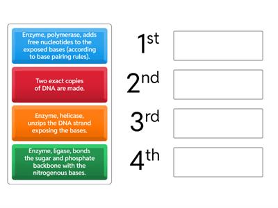 Steps of DNA Replication