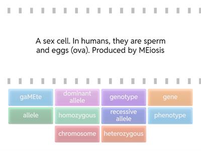 4.6.1.4 Genetic inheritance terminology - definition given list