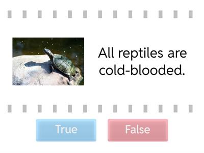 PC68 - Reptile Facts