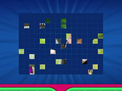 Look 3 unit 3 Image Quiz