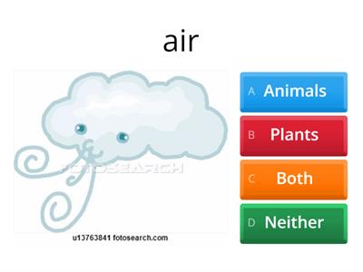 What do plants and animals need to survive? 2