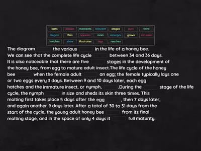 IELTS > Diagrams II (band 8+)