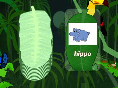 3,4 years old - At the zoo