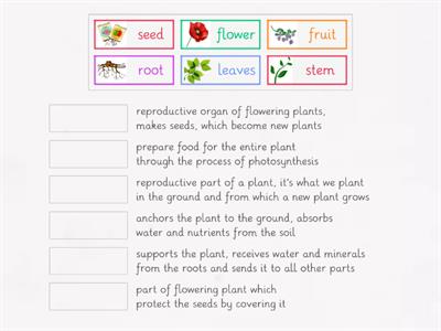 Functions of Plant Parts