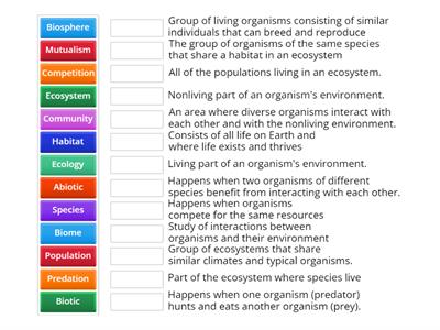 Ecology Interdependence Vocabulary 