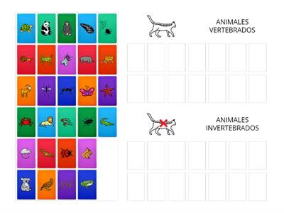 CLASIFICACIÓN VERTEBRADOS-INVERTEBRADOS