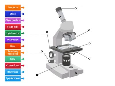 Parts of a Light Microscope