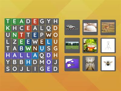 Homophones #4 Word Search