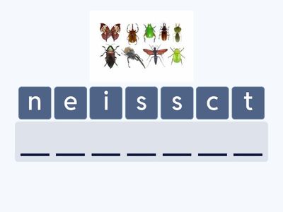 Stars and Heroes 3 unit 2