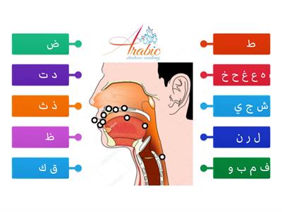 مخارج الحروف ARABIC SHADOWS ACADEMY