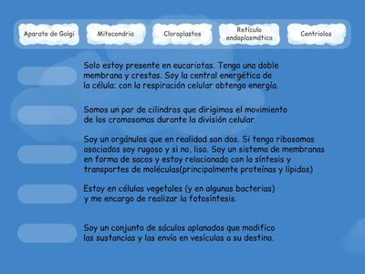 Orgánulos celulares I