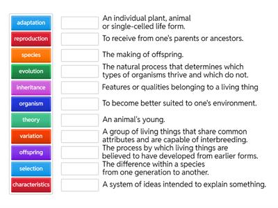 Key Vocab for Evolution and Inheritance