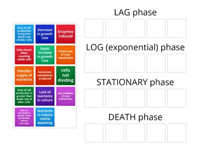 Microbe growth phases group sort