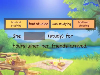 Quiz: Past perfect continuous