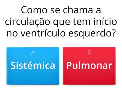 Miniteste Ciências Naturais- 6ºano  