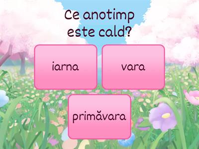 Chestionar despre anotimpuri