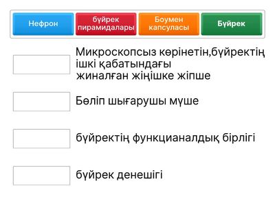 Сәйкестендір: