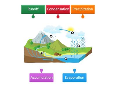 Water Cycle