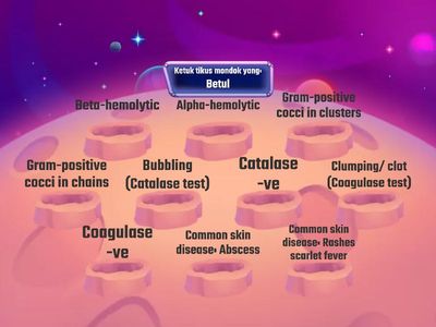 What about Staphylococcus aereus? 