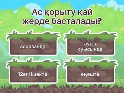 Ас қорыту жүйесінің анатомиясы