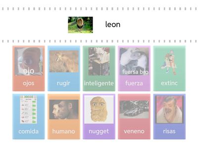 ANIMALES DE LA SELVA