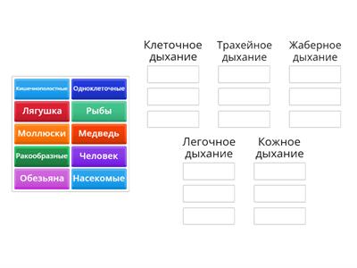 Дыхание у животных